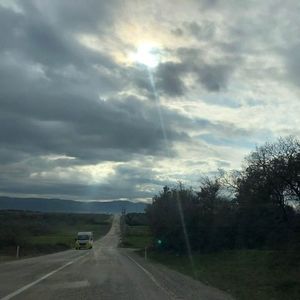 Meet your Posher, Neşe